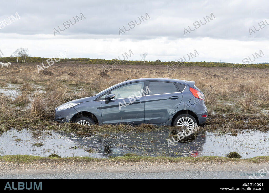 TIM WOODCOCK. Ford Fiesta accident in New Forest, 2020.