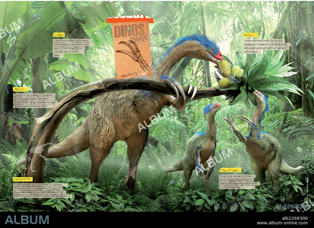 Cómo era el Therizinosaurus. Infografía donde se presentan los rasgos anatómicos más representativos del Terizinosaurio, saurópodo herbívoro del Cretácico, era Mesozoica.