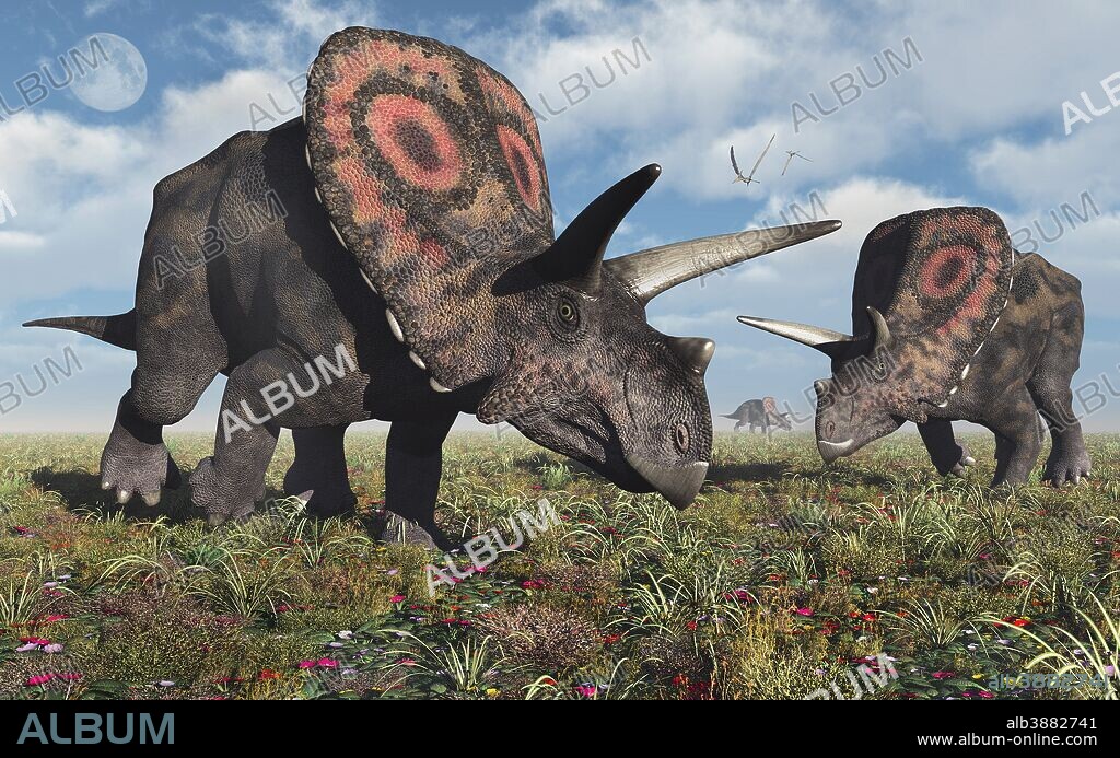 A small herd of Torosaurus dinosaurs during Earth's Cretaceous period.