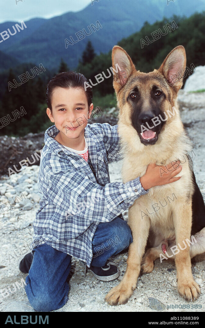 Rex grows up with eight-year-old Benny (RAPHAEL GHOBADLOO) in an idyllic mountain village. Together they experience many adventures in the countryside and later in Vienna. Director: Oliver Hirschbiegel / Title: BABY REX - DER KLEINE KOMMISSAR / AUT 1997.