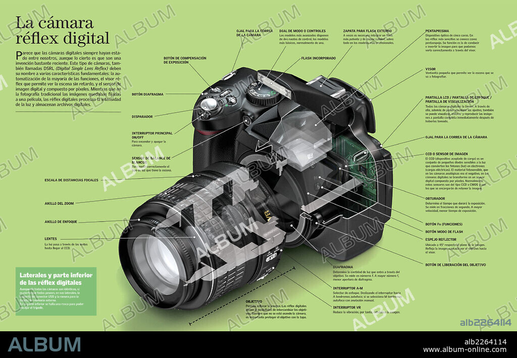 La cámara réflex digital - Album alb2264114