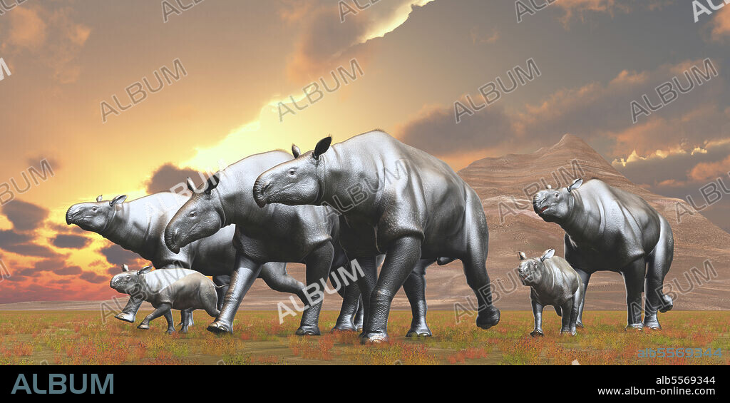 A group of Paraceratherium mammals. Paraceratherium was an Indricotherium herbivore that lived in Eurasia during the Eocene Period.