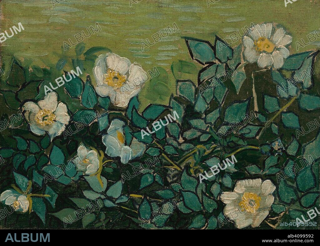 VINCENT VAN GOGH. Wild Roses. Date: May-June 1889, Saint-Rémy-de-Provence. Dimensions: 24.5 cm x 33.5 cm, 41.8 cm x 51 cm.