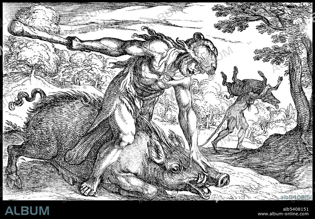 Entitled: Hercules and the Boar of Erymanthus: Hercules holds down the boar's snout with his left hand and raises his club with his right hand, in the middle ground Hercules carries the boar on his shoulders. The Twelve Labors of Heracles (Hercules) are a series of episodes concerning a penance carried out by Heracles, the greatest of the Greek heroes, whose name was later Romanized as Hercules. The establishment of a fixed cycle of twelve labours was attributed by the Greeks to an epic poem, now lost, written by Peisander, dated about 600 BC. After Hercules killed his wife and children, he went to the oracle at Delphi, and prayed to the god Apollo for guidance. Hercules was told to serve the king of Mycenae, Eurystheus, for 12 years. During these 12 years, he is sent to perform twelve difficult feats, called labours. If he succeeded, he would be purified of his sin and, as myth says, he would be granted immortality.