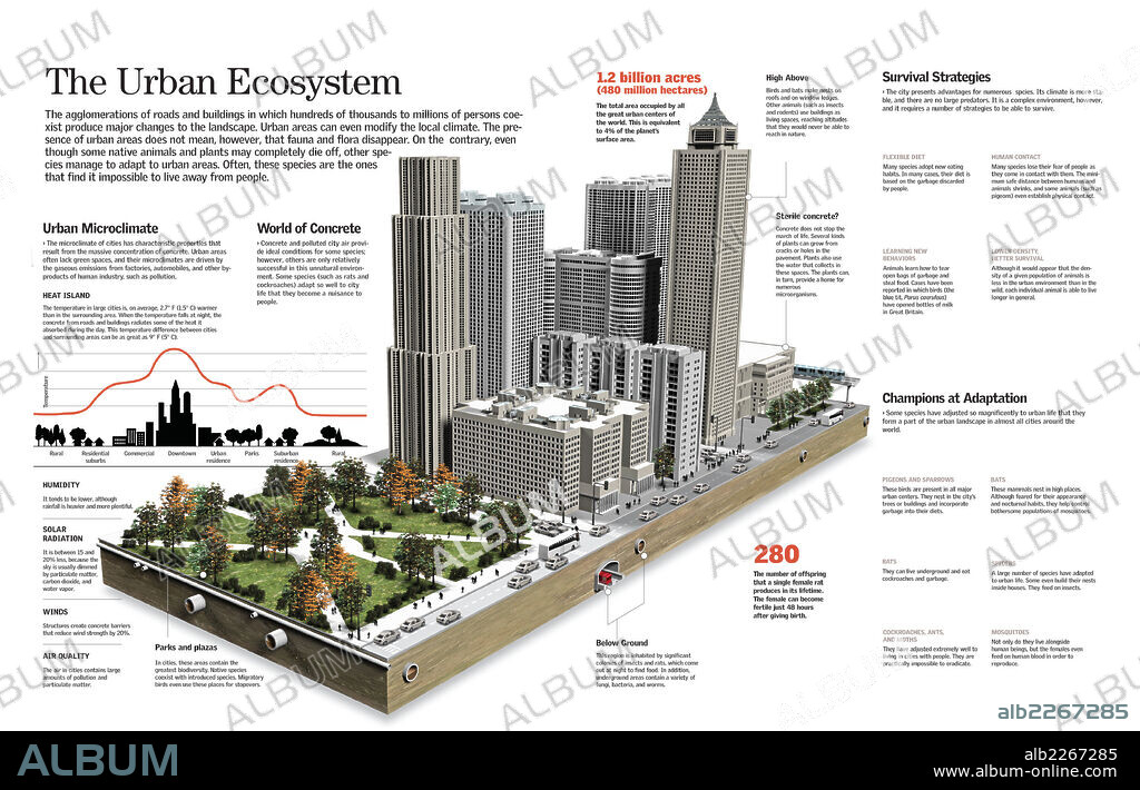 Ecosistema urbano. Infografía del ecosistema urbano, su incidencia en el medio ambiente y las adaptaciones de las especies animales necesarias para sobrevivir.