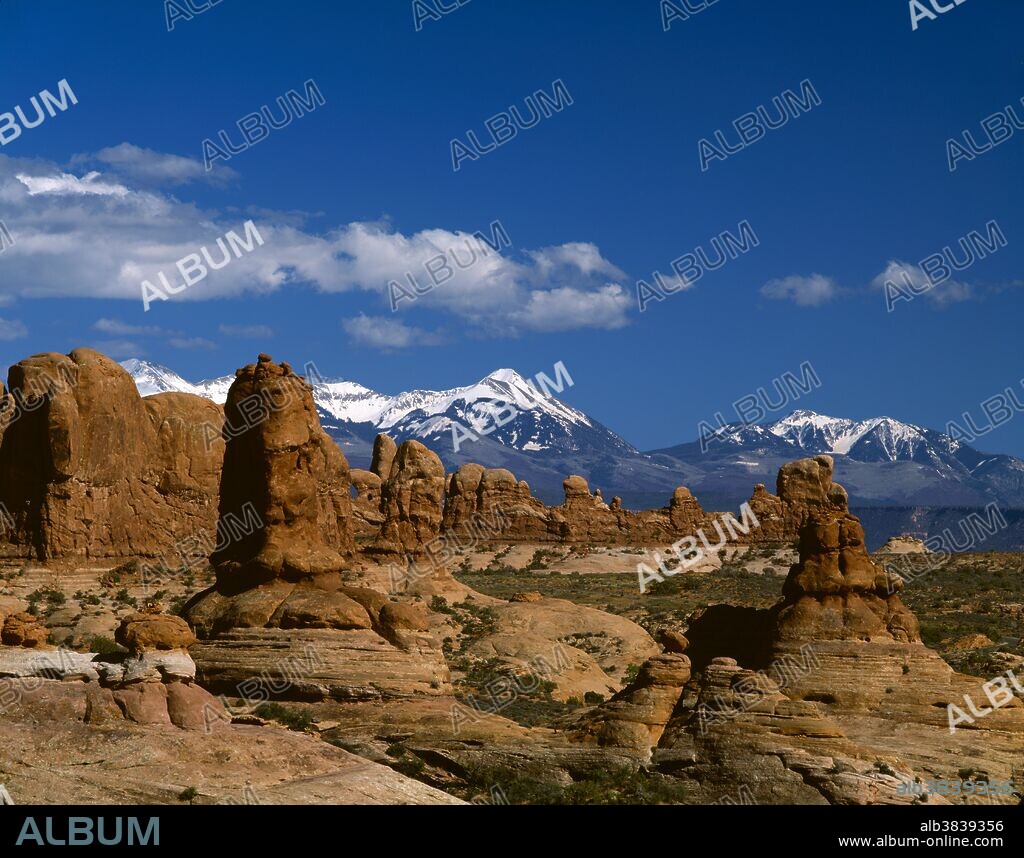 View  of the Parade of Elephants rock formation, in the Windows Section of Arches National Park. The La Sal Mountains are in the distance. Arches National Park is located on the Colorado River north of Moab, Utah. It is known for preserving over 2000 natural sandstone arches.