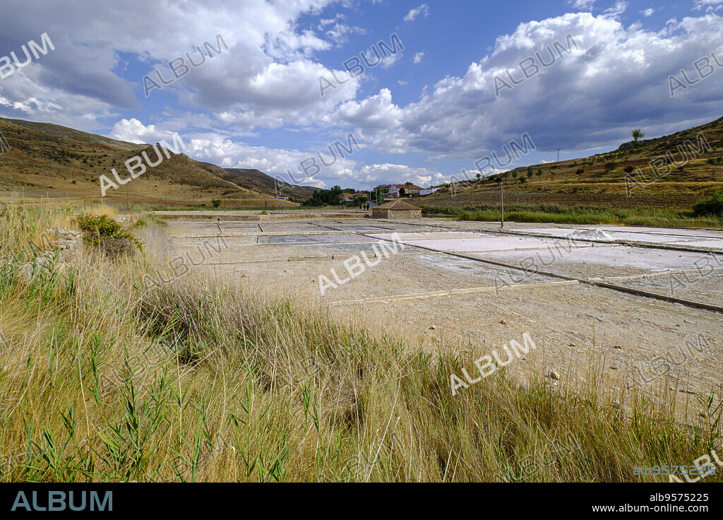 Salinas de Medinaceli , Medinaceli, Soria, comunidad autónoma de Castilla y León, Spain, Europe.