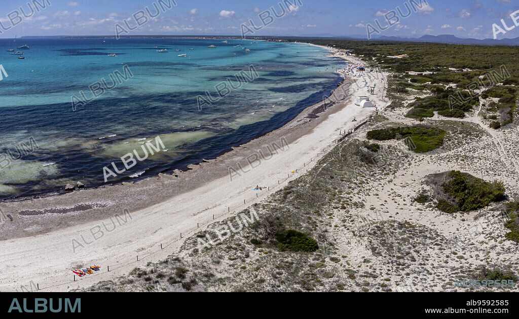 Es Trenc beach, Campos municipality, Mallorca, Balearic Islands, Spain.