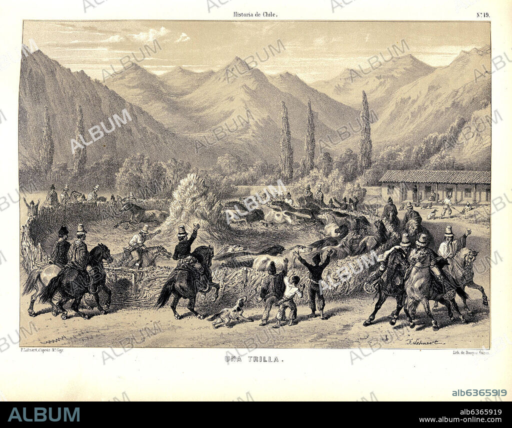 GAY CLAUDIO. UNA TRILLA EN ATLAS DE LA HISTORIA FISICA Y POLITICA DE CHILE, 1854.