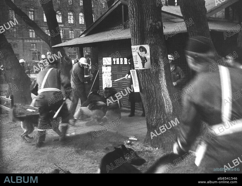 ©SCANPIX SWEDEN, 1971-05.. Demonstration för att rädda almarna i Kungsträdgården, Stockholm. Bilden visar demonstranter i handgemän med poliser vid Thehuset. Affischer uppsatta på ett träd.. Foto: Scanpix. Code: 20360 . ***. ENGCAP: Demonstration against that fell elms in Kungsträdgården in Stockholm.