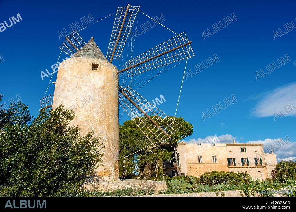 molino de viento harinero, casas de Sa Torre, Llucmajor, Mallorca, balearic islands, Spain.