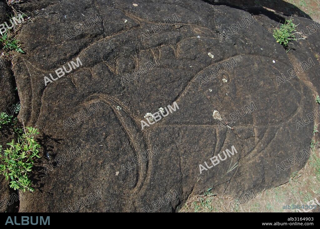 Fish petroglyphs at Rano Kau, Easter Island, Chile. Easter Island, a Chilean territory, is a remote volcanic island in Polynesia. Photographed by Lieutenant Elizabeth Crapo. 2006.