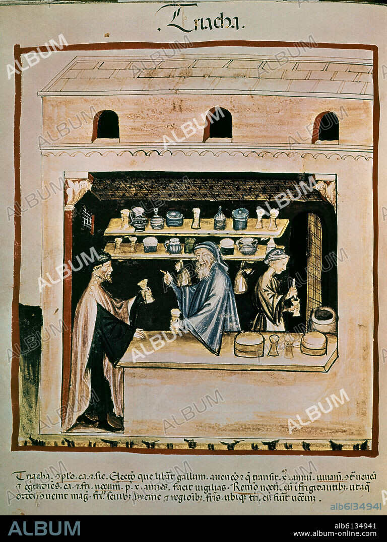 UBUBEHASYM BALDACH. FACSIMILE OF THEATRUM SANITATIS - MEDIEVAL MEDICINE - PHARMACY AND BOISTICS - JEWS - 14th-15th CENTURY.