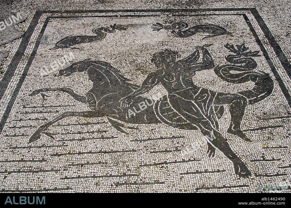Ostia Antica. Square of the Guilds or Corporations. Mosaic depicting an Nereid with a sea-horse. Near Rome.