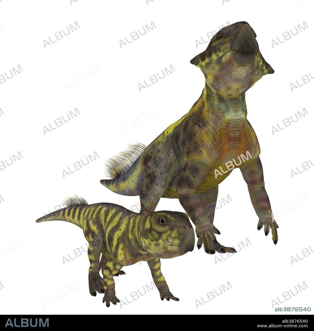 An adult Psittacosaurus dinosaur with offspring. Psittacosaurus was a ceratopsian herbivorous dinosaur that lived in Asia during the Cretaceous period.