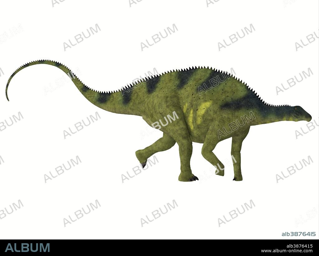 Brachytrachelopan dinosaur, white background. Brachytrachelopan was a herbivorous sauropod that lived in Argentina during the Jurassic Period.