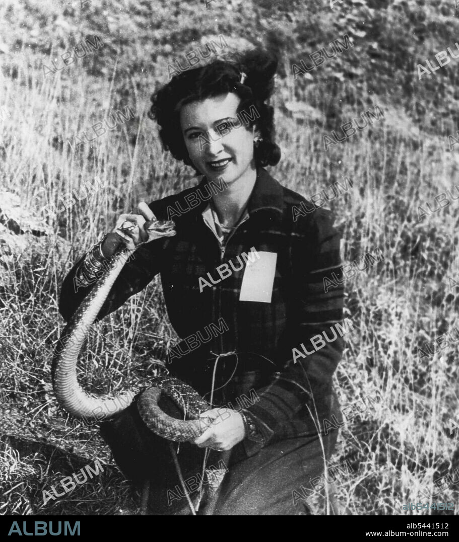 Dangerous Handful -- Mrs. Hugh Davis, wife of the curator of the Tulsa, Okla., Mohawk Zoo, is one of the nation's top professional snake hunters. Above, she is shown with one of the poisonous diamondback rattlesnakes she caught yesterday at the 12th annual roundup of the International Association of Rattlesnake Hunters. April 16, 1951. (Photo by AP Wirephoto).