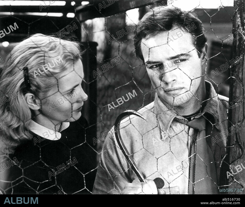 EVA MARIE SAINT y MARLON BRANDO en LA LEY DEL SILENCIO, 1954 (ON THE WATERFRONT), dirigida por ELIA KAZAN. Copyright COLUMBIA PICTURES.