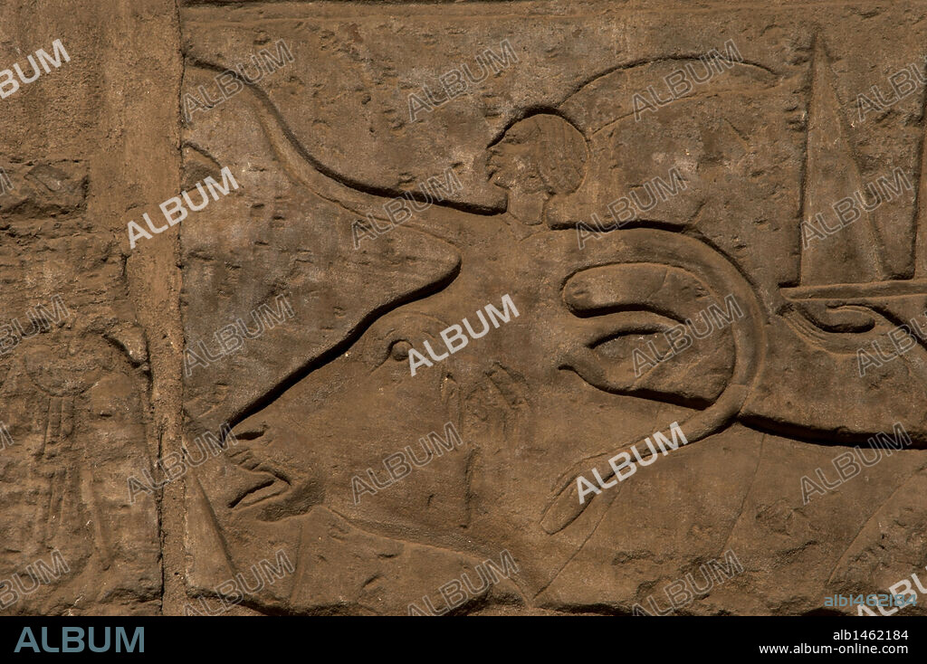 ARTE EGIPCIO. EGIPTO. Detalle de un SACERDOTE conduciendo un TORO para sacrificar durante la PROCESION RELIGIOSA realizada para conmemorar la inauguración del gran pilono de Luxor, construído por Ramsés II. PRIMER PATIO DE RAMSES II. TEMPLO LUXOR. DINASTIA XIX. (1320-1200 a. C). IMPERIO NUEVO.