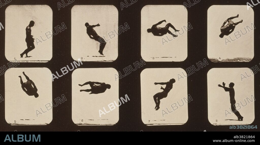 Muybridge Human Locomotion, Twisting Somersault, 1881. Photograph shows 8 consecutive images of a man doing a twisting somersault. Eadweard James Muybridge (April 9, 1830 - May 8, 1904) was an English photographer important for his pioneering work in photographic studies of motion and in motion-picture projection. He published two popular books of his work, Animals in Motion (1899) and The Human Figure in Motion (1901), both of which remain in print over a century later. He died in 1904 at the age of 74.