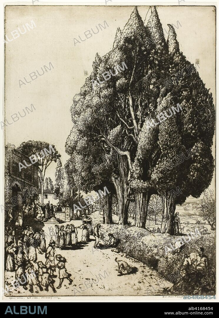 Cypress Grove. Donald Shaw MacLaughlan; American, born Canada, 1876-1938. Date: 1904. Dimensions: 297 x 218 mm (image/plate); 303 x 220 mm (sheet). Etching in black on ivory laid paper. Origin: United States.