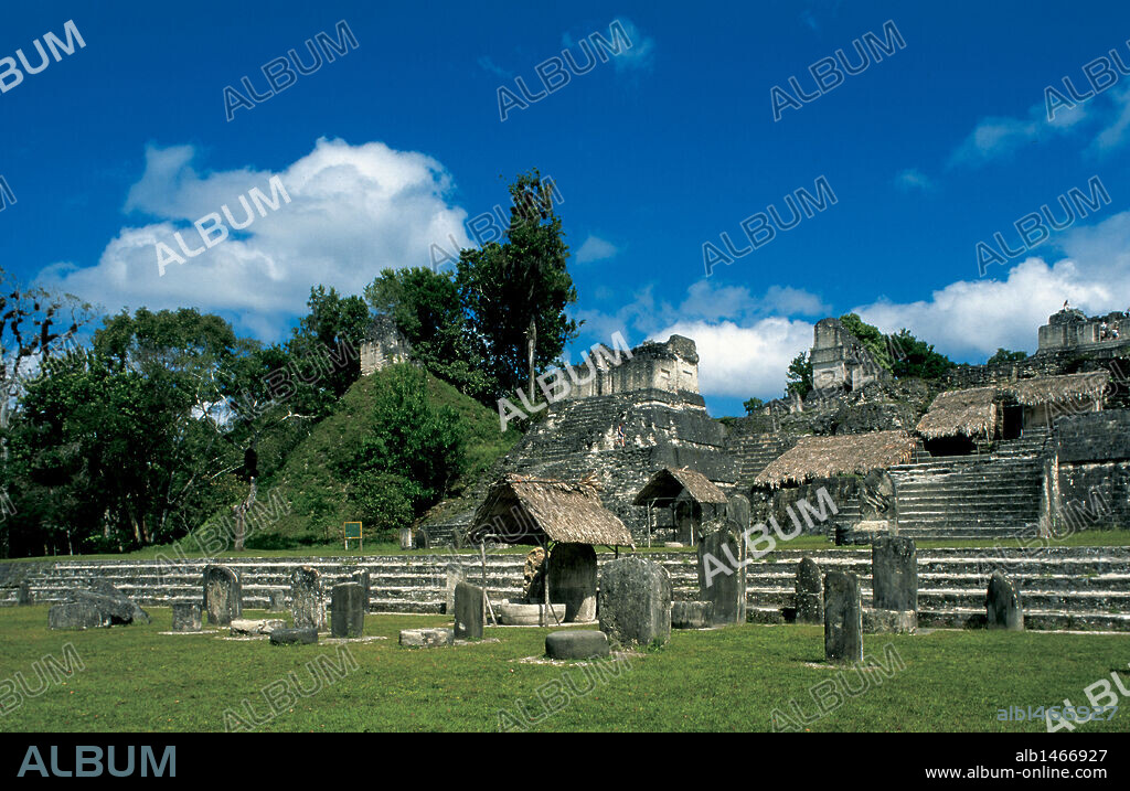 ARTE PRECOLOMBINO. MAYA. TIKAL. Ciudad maya. En primer plano, estelas; detrás, la acrópolis norte. Región de Petén. Guatemala.