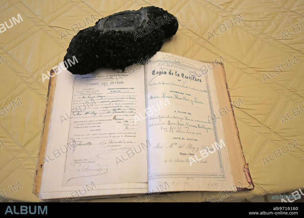 Seville, 11/13/2017. Report on the Pino Montano farmhouse, which belonged to the bullfighter Ignacio Sánchez Mejías. Photo: Raúl Doblado ARCHSEV.