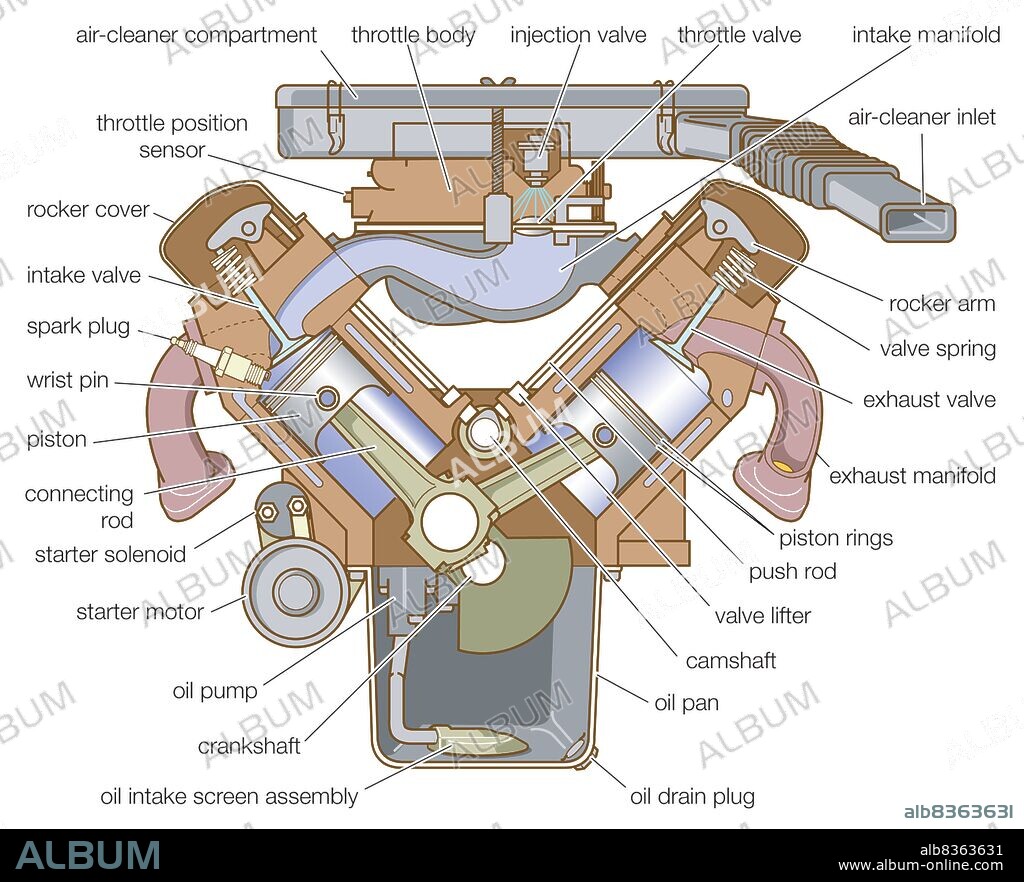 Cross section of a V-type engine.