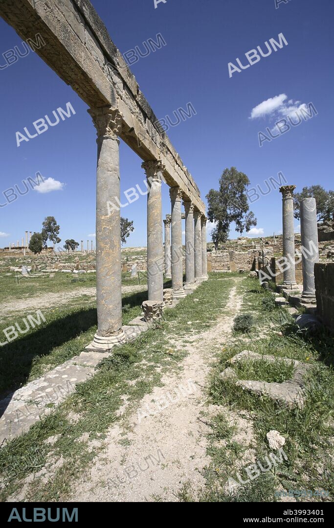 The Palaestra of Petronii, Thuburbo Majus, Tunisia. A palaestra was an ancient Greek wrestling school. The events that did not require a lot of space, such as boxing and wrestling, were practiced there. The palaestra functioned both independently and as a part of public gymnasia. A palaestra could exist without a gymnasium, but no gymnasium could exist without a palaestra. Thuburbo Majus (or Thuburbo Maius) is a large Roman site in northern Tunisia located approximately 60km southwest of Carthage. Construction of Thuburbo Majus began in 27BC.