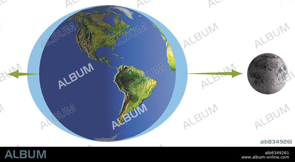 Even though the Moon is 378,000 km away from Earth, its gravitational force is strong enough to move the oceans. When Earth rotates so that a mass of water is facing the Moon, water rises in its direction: this bulge produces a high tide. At the same time, the Moons gravitational pull on water on the other side of Earth is much weaker. This water is affected by the centrifugal force created by the rotation of the EarthMoon system and tends to bulge outward, creating another high tide. If Earth were made only of rigid materials, it would still be deformed by the action of these two forces and would be egg-shaped.