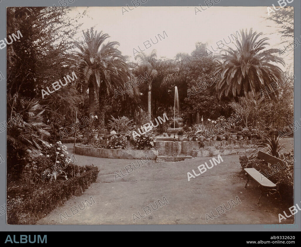 Botanical Garden, Las Palmas, Gran Canaria, Canary Islands, Botanical Garden, Las Palmas, Gran Canaria, Canary Islands. View of a luxuriant garden with fountain and palm trees all around., Jordão da Luz Perestrello (mentioned on object), Las Palmas, c. 1900 - c. 1920, paper, gelatin silver print, height 174 mm, width 228 mm.