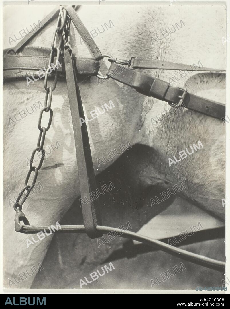 Equivalent, Spiritual America. Alfred Stieglitz; American, 1864-1946. Date: 1923. Dimensions: 11.6 x 9.1 cm (image/paper/first mount); 31.6 x 25.2 cm (second mount). Gelatin silver print. Origin: United States.