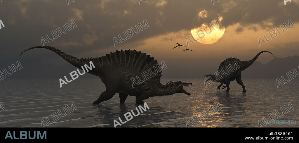 A pair of giant carnivorous Spinosaurus dinosaurs fishing on a calm and peaceful prehistoric evening.