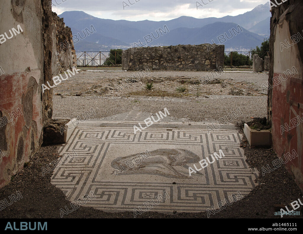 ARTE ROMANO. ITALIA. POMPEYA. Ciudad romana situada a los pies del Vesubio, destruída en el año 79 por la erupción del volcán. Detalle del MOSAICO DE UN PAVIMENTO.