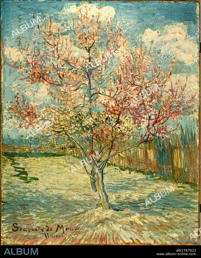 Peach Blossoming (Souvenir de Mauve), by Vincent Van Gogh, 1888, 19th Century, oil on canvas, cm 73 x 59,5. Netherlands, Gheldre, Ede, Otterlo, Rijksmuseum Krller-Mller. All. Peach trees in bloom pink flowering silhouetted against the light blue azure sky with scattered white clouds.