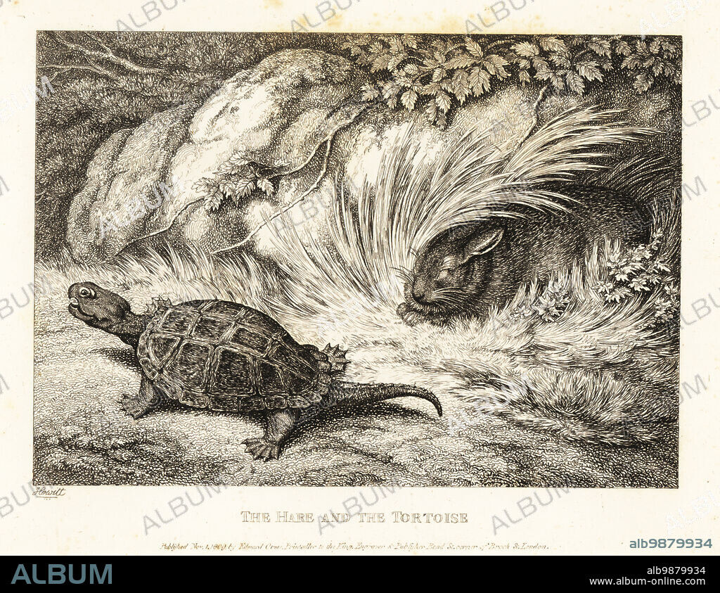 A tortoise overtakes a sleeping hare in a race. The hare and the tortoise. Illustration of a fable by Greek author Aesop. Copperplate etching drawn and engraved from life by Samuel Howitt from his own A New Work of Animals, Principally Designed from the Fables of Aesop, Gay and Phaedrus, Edward Orme, London, 1811.