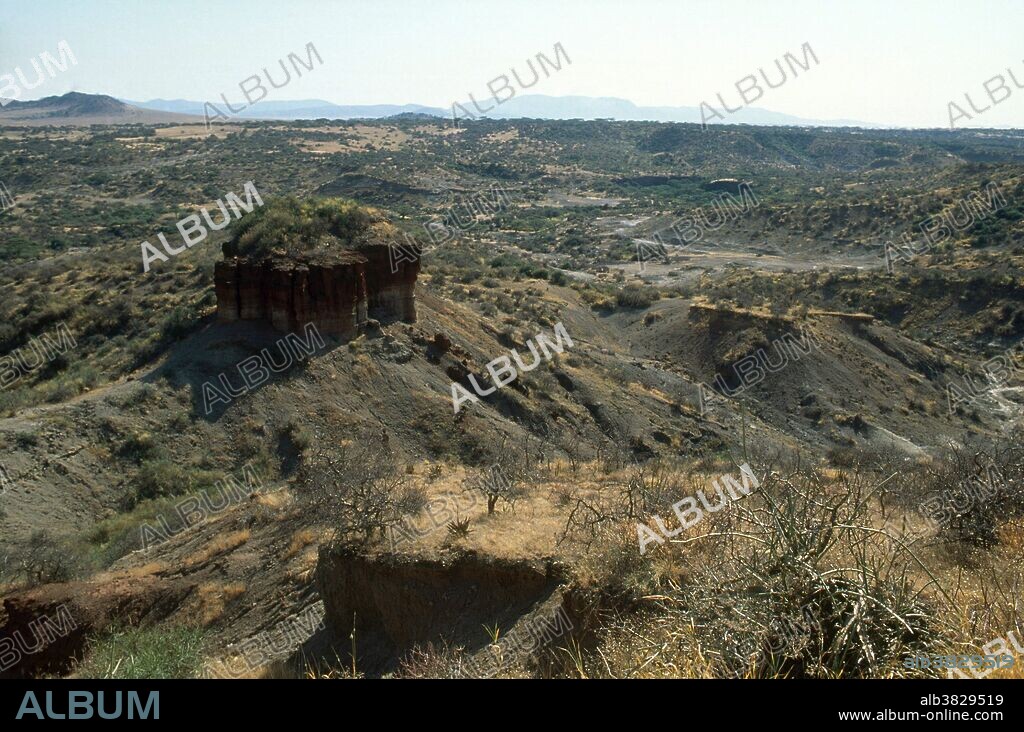 Olduvai gorge, also known as Oldupai Gorge and The Cradle of Mankind, lies within the Ngorongoro Conservation Area in Tanzania, Africa. It is about 30 miles long. Millions of years ago the gorge was a large lake with shores covered with deposits of volcanic ash. Around 500,000 years ago seismic activity diverted a nearby stream, which cut into the sedimentary rock, revealing the main layers in the walls of the gorge. Dr. Louis Leakey a paleoanthropologist, did extensive work in this gorge. He believed that early man developed in Africa and spent most of his life studying tools, bones and other artifacts from this area.