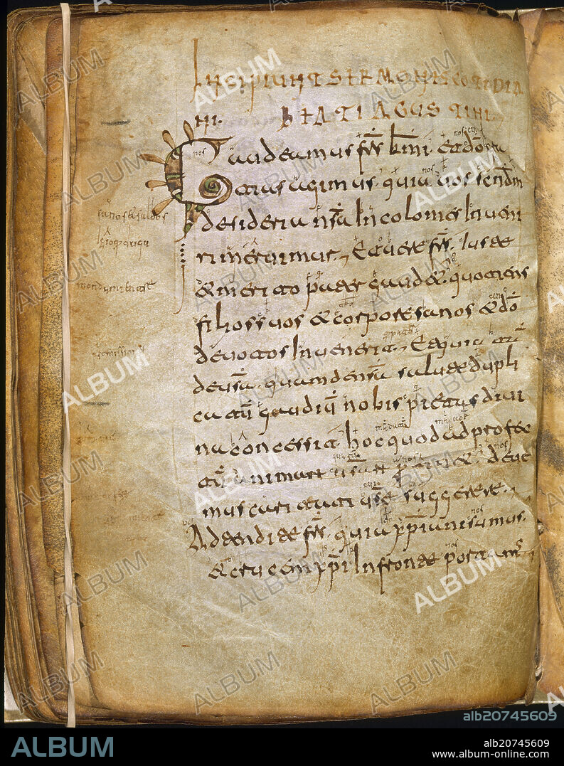 CODICE EMILIANENSE DE SAN MILLAN DE LA COGOLLA CON GLOSAS - PG 67V - SIGLO IX - 1ER ESCRITO EN CASTELLANO.