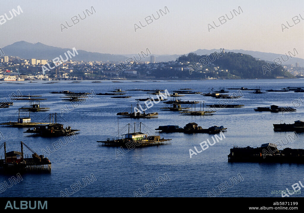 Ría de Vigo, "bateas" de cultivo de mariscos y Vigo al fondo (Rías Bajas).