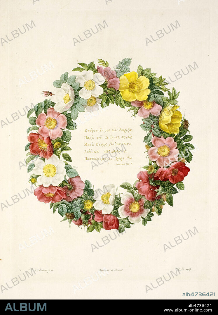 Couraonne de fleurs d'Aubepine, rosier sauvage. Dessin de Pierre-Joseph REDOUTE (1759-1840). Planche Botanique in Choix des plus belles fleurs, dédié à LL. AA. RR. les Princesses Louise et Marie d'Orléans, 1827-1833. Credit MIGNY/KHARBINE TAPABOR.
