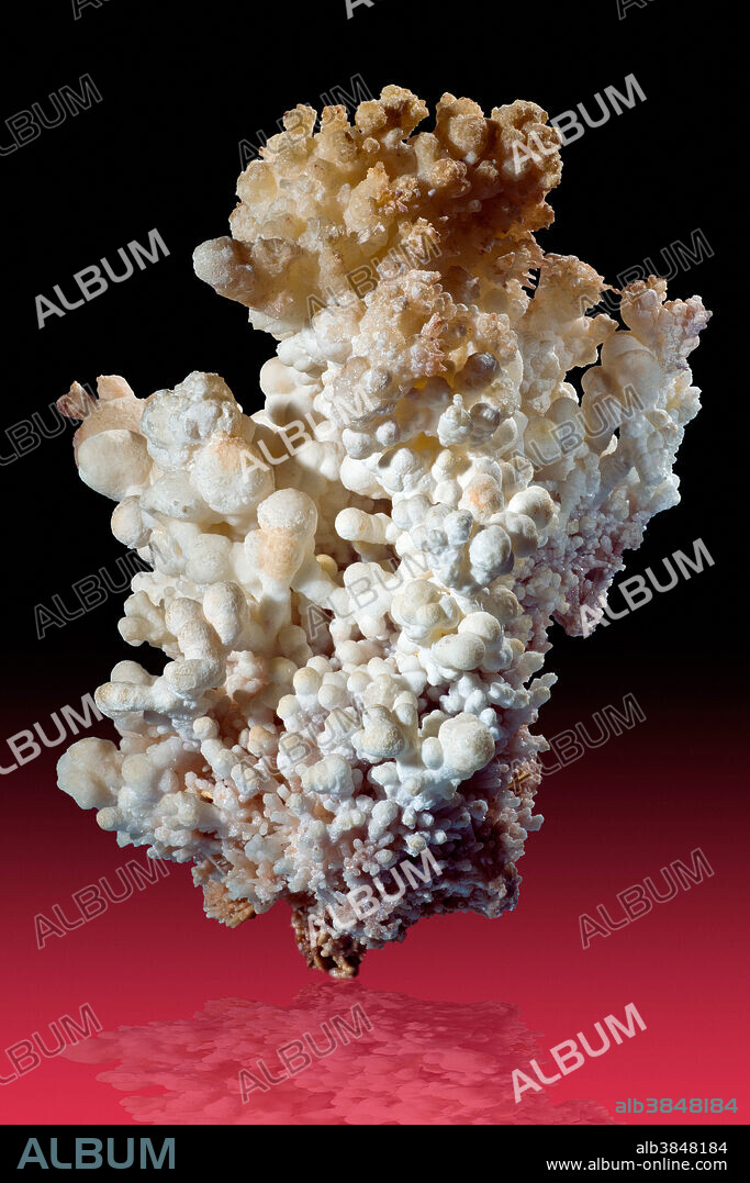 Flos Ferri variety of aragonite, from the Santa Rita Mountains, Santa Cruz County, Arizona.