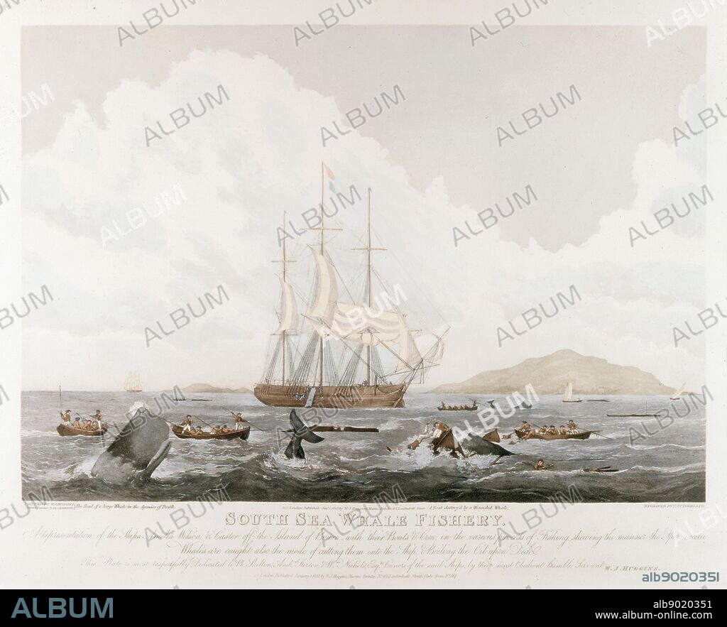 South Sea Whale Fishery: 'Amelia Wilson' and 'Castor' off Buoro. Aquatint after John Huggins published 1825. Factory ship at anchor while crew in boats harpoon Sperm Whales.