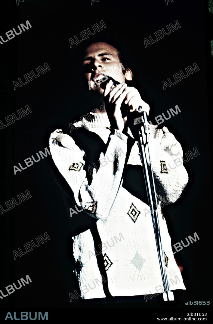 El cantante americano Art Garfunkel.