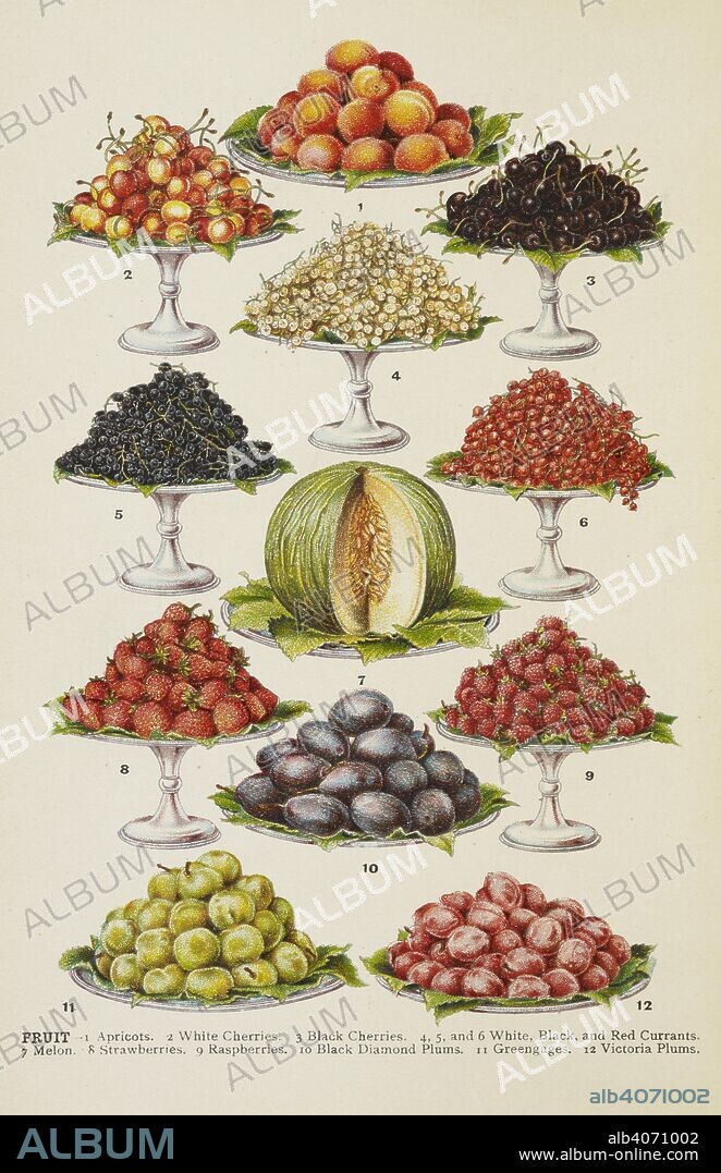 ISABELLA MARY BEETON and ANON. Assorted fruits including melon, plums, cherries, grapes, strawberries, greengages and raspberries. . Mrs. Beeton's Family Cookery and Housekeeping Book ... New ... illustrations, etc. [Another issue, in an altered form, of â€œBeeton's Every-day Cookery and Housekeeping Book.â€]. London : Ward, Lock & Co., 1907. Source: 07944.g.63. frontispiece.
