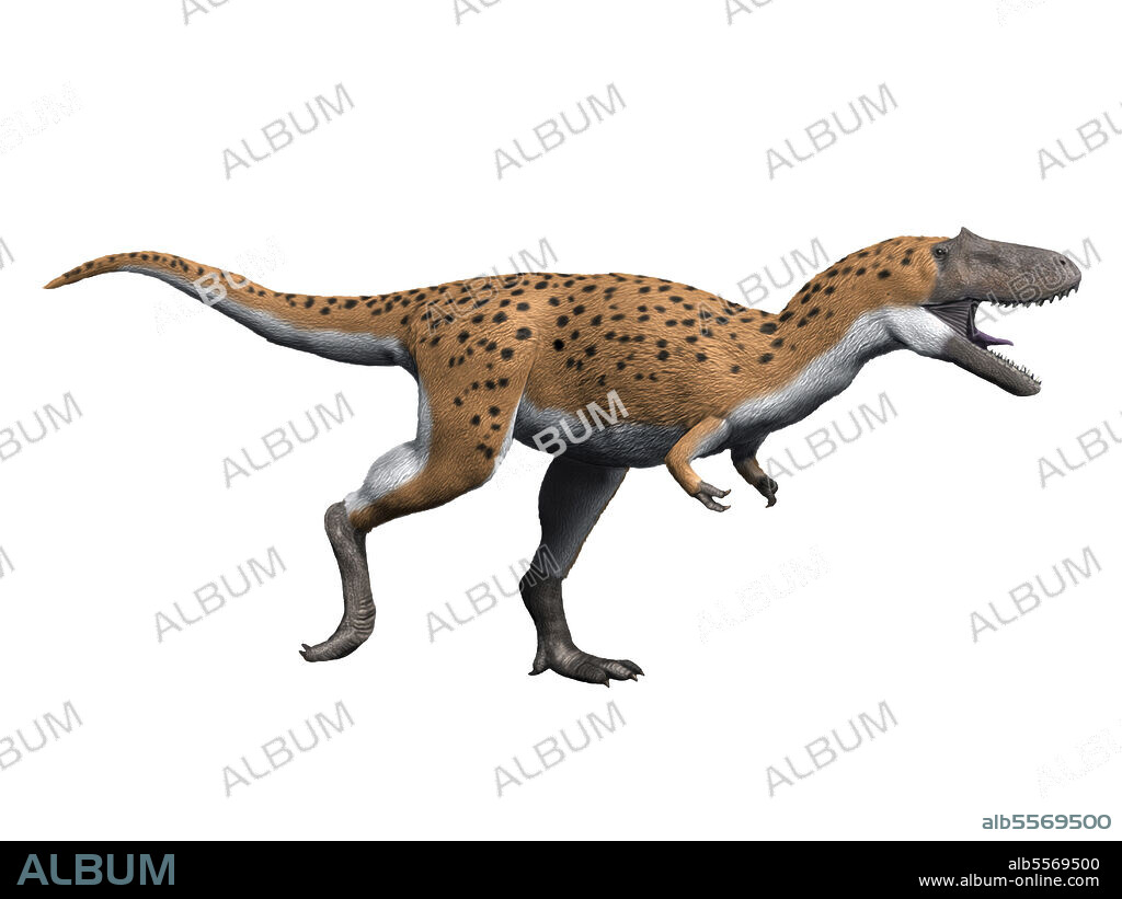 Gualicho shinyae, Theropoda, Late Cretaceous of Argentina.