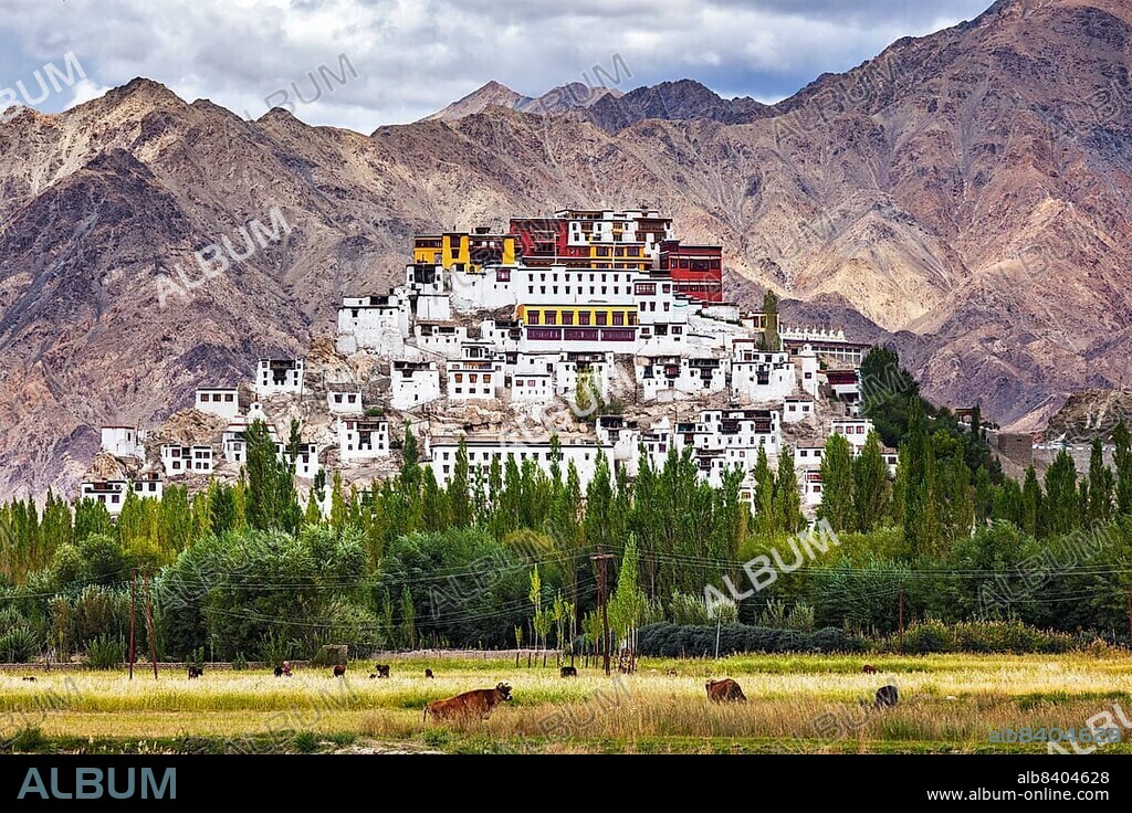 Thikse Gompa or Thikse Monastery (also transliterated from Ladakhi as Tikse) (Tiksey or Thiksey), Tibetan Buddhist monastery of the Yellow Hat (Gelugpa) sect. Ladakh, Jammu and Kashmir, India