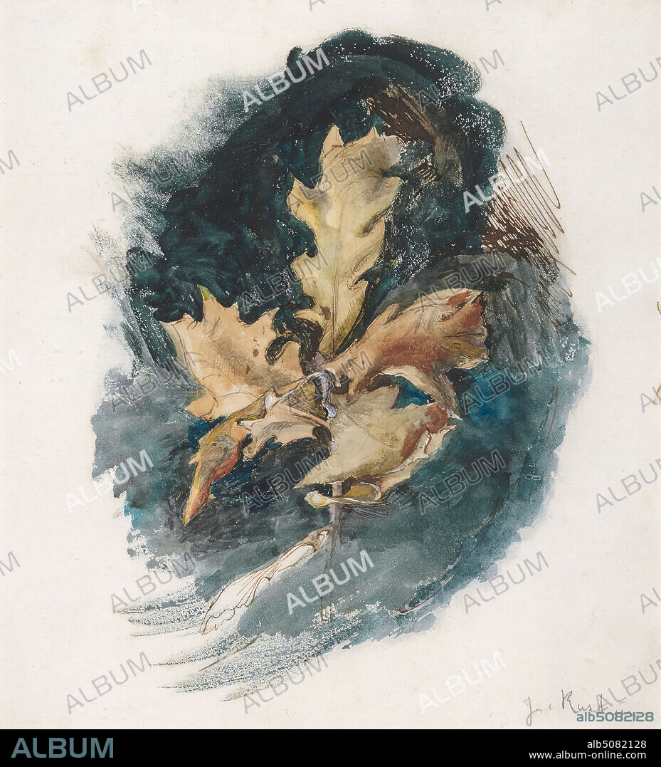 Study of an Oak Leaf, John Ruskin, 18191900, British, undated, Pen and brown ink with watercolor over graphite heightened with gouache and gum; verso: graphite on medium, smooth, white wove paper, Sheet: 7 9/16 × 6 7/8 inches (19.2 × 17.5 cm) and Frame: 12 3/16 × 11 7/16 × 13/16 inches (30.9 × 29 × 2.1 cm), botanical subject, leaf, leaves, oak, study (visual work).