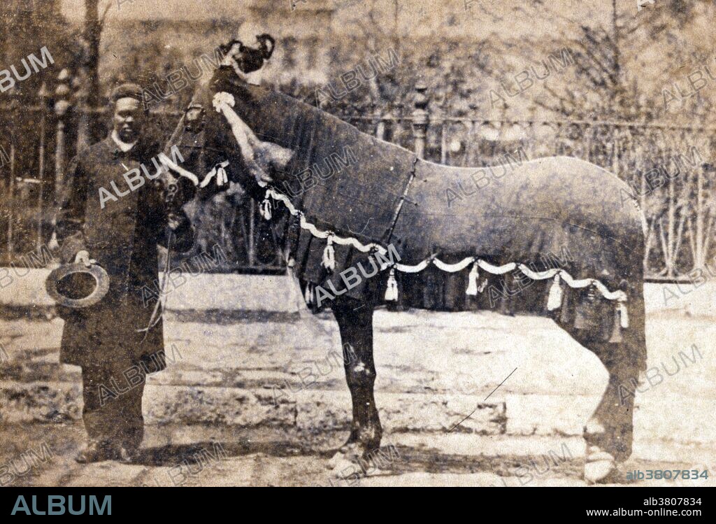 President Lincoln's Horse, Old Robin