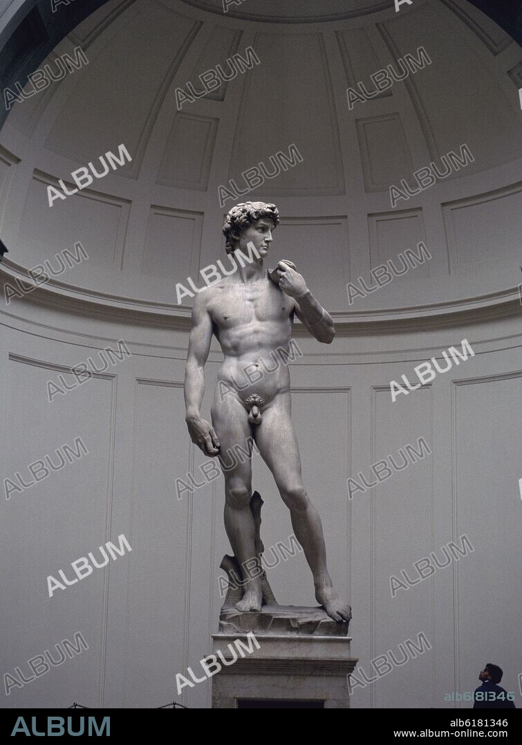 MICHELANGELO. DAVID (1501-1504) - RENACIMIENTO ITALIANO.
