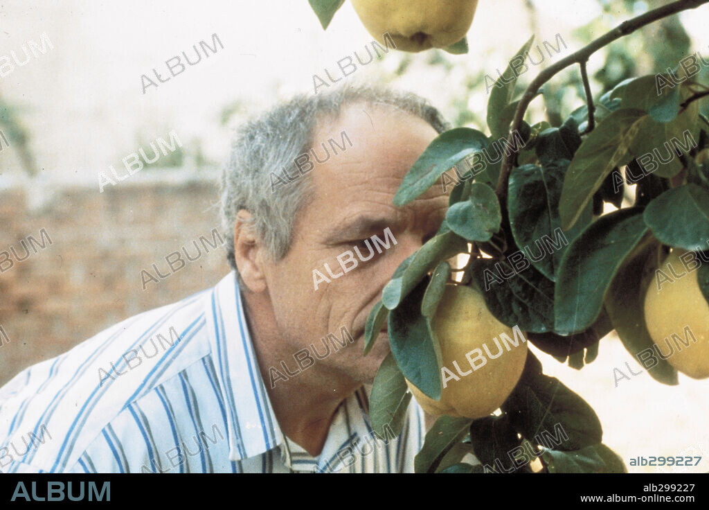 ANTONIO LOPEZ GARCIA en EL SOL DEL MEMBRILLO, 1992, dirigida por VICTOR ERICE. Copyright MARIA MORENO.